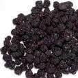 Aronia Beeren