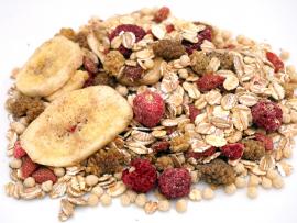 Muesli