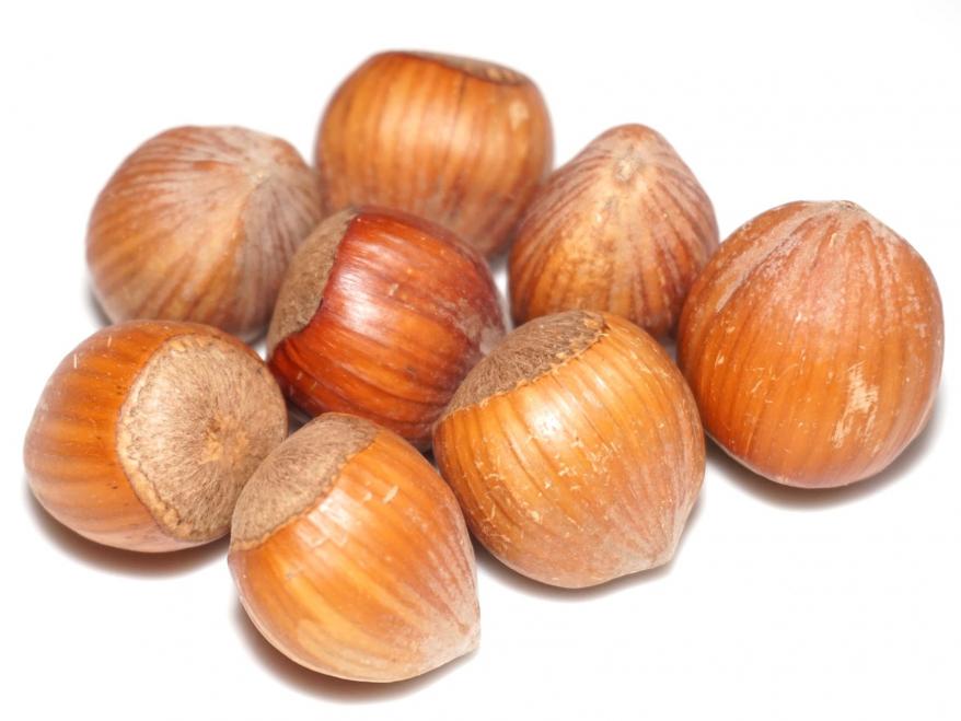 Haselnüsse in der Schale