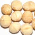 Macadamia