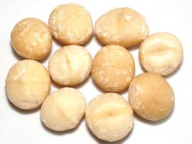 Macadamia-Nusskerne
